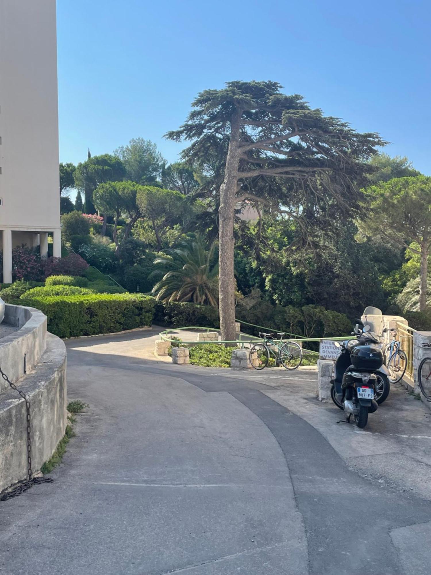 Vu Sur Mer Corniche Apartment Marseille Exterior photo